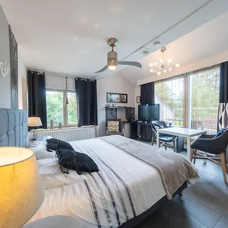 Bed & Breakfast De Witte Merel Deluxe 4*