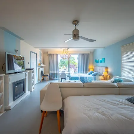 Bed & Breakfast De Witte Merel Deluxe 4*