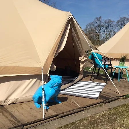 Bed & Breakfast De Witte Merel Deluxe Tessenderlo
